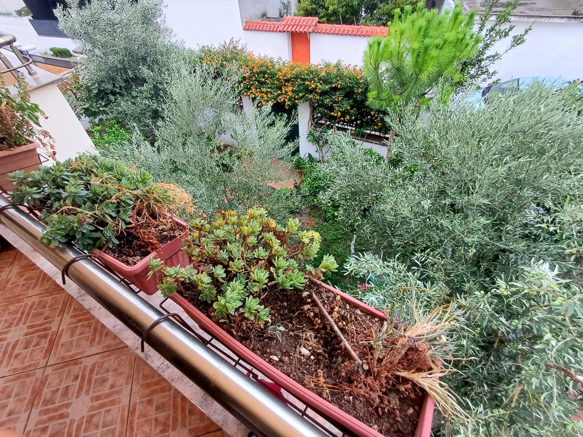 Guest Room Near Historical Center Vlorë Εξωτερικό φωτογραφία